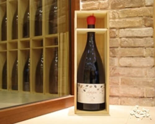 2012 - New vintage releases